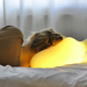 Illustration for article titled A Soft Squishy Lamp You Can Cram Anywhere (Even Under Your Head)